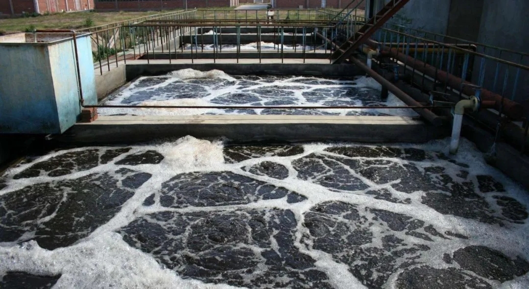 住建部：如何應(yīng)對(duì)新冠病毒從馬桶到水環(huán)境的潛在傳輸途徑？