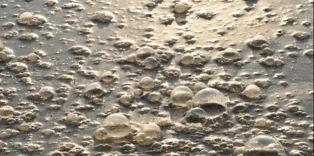 污水廠內(nèi)的生物氣溶膠，污水從業(yè)人員必讀-