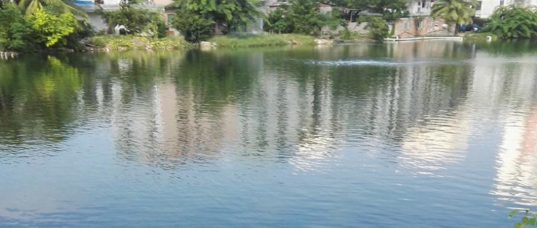 2023黑臭水體整治新動作不斷！問題到底怎么破？