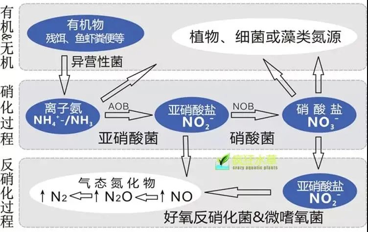 面對低濃度氨氮工業(yè)廢水束手無策？這幾種方法可以解決-