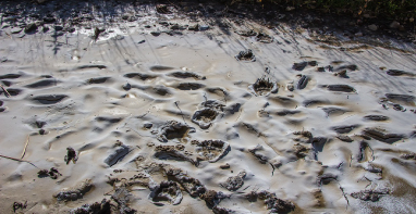 換季污泥膨脹，怎么辦？