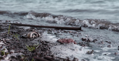103條黑臭水體！江蘇2024年全省農(nóng)村環(huán)境整治工作計(jì)劃！